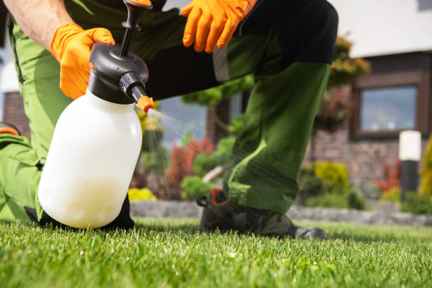 Trusted Black River Falls, WI Pest Control Experts