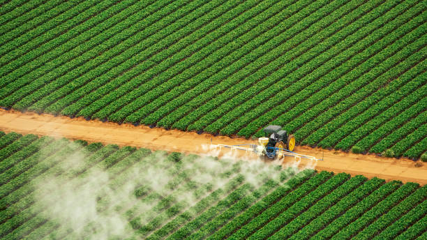 Best Pest Prevention Services  in Black River Falls, WI