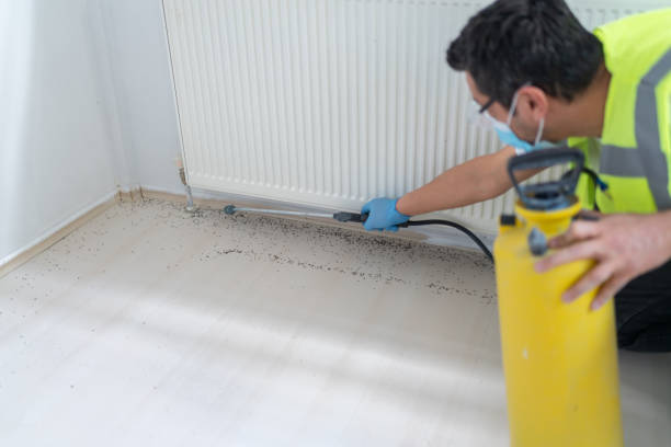 Best Affordable Pest Control Services  in Black River Falls, WI